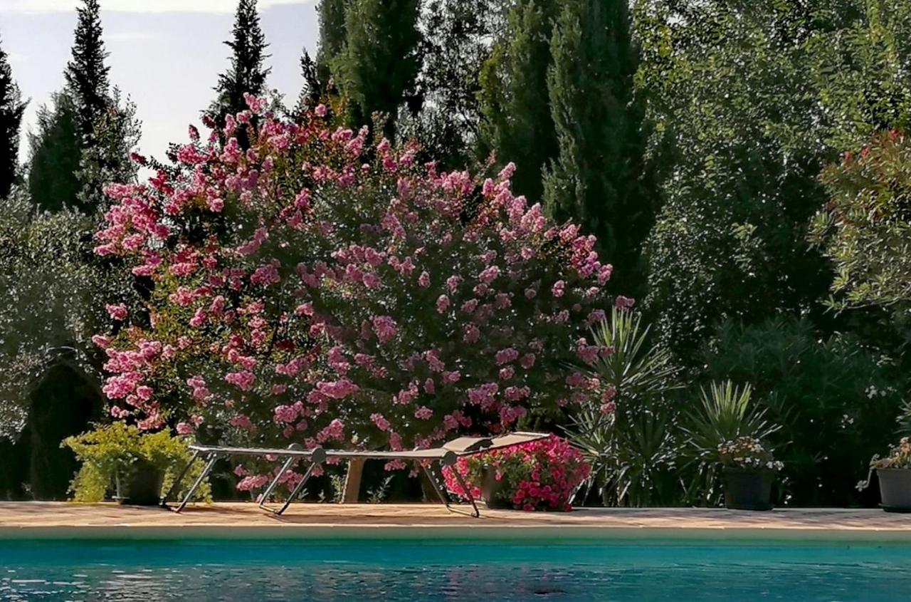 Villa Isabelle Barraca de Aguas Vivas Екстериор снимка